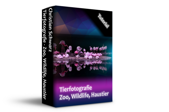 Box Tutorial Christian Schwarz - Tierfotografie - Zoo, Wildlife, Haustier